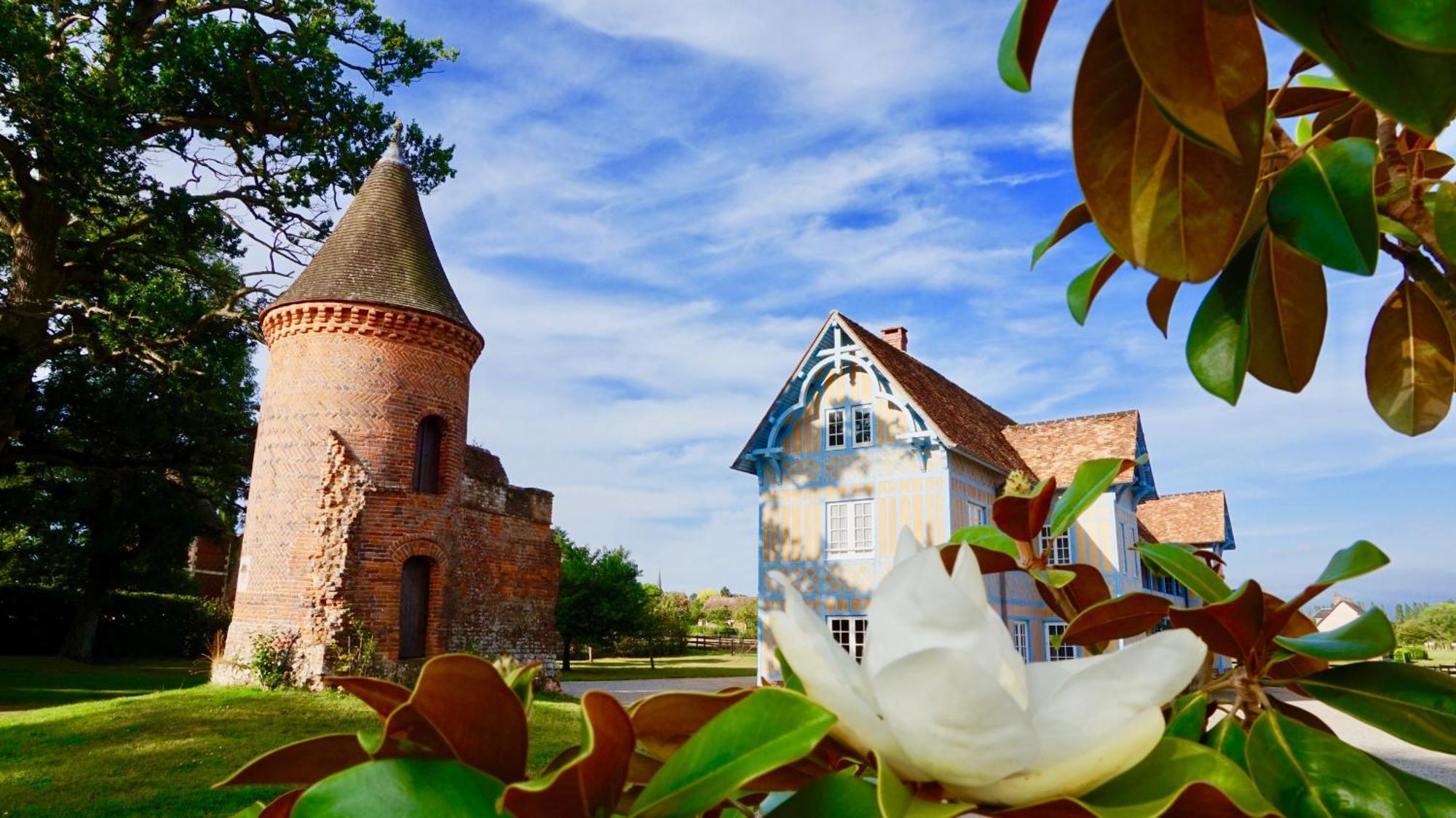 Chateau De Tilly Boissey-le-Chatel ภายนอก รูปภาพ