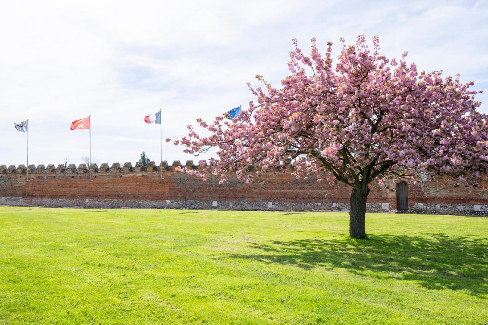 Chateau De Tilly Boissey-le-Chatel ภายนอก รูปภาพ